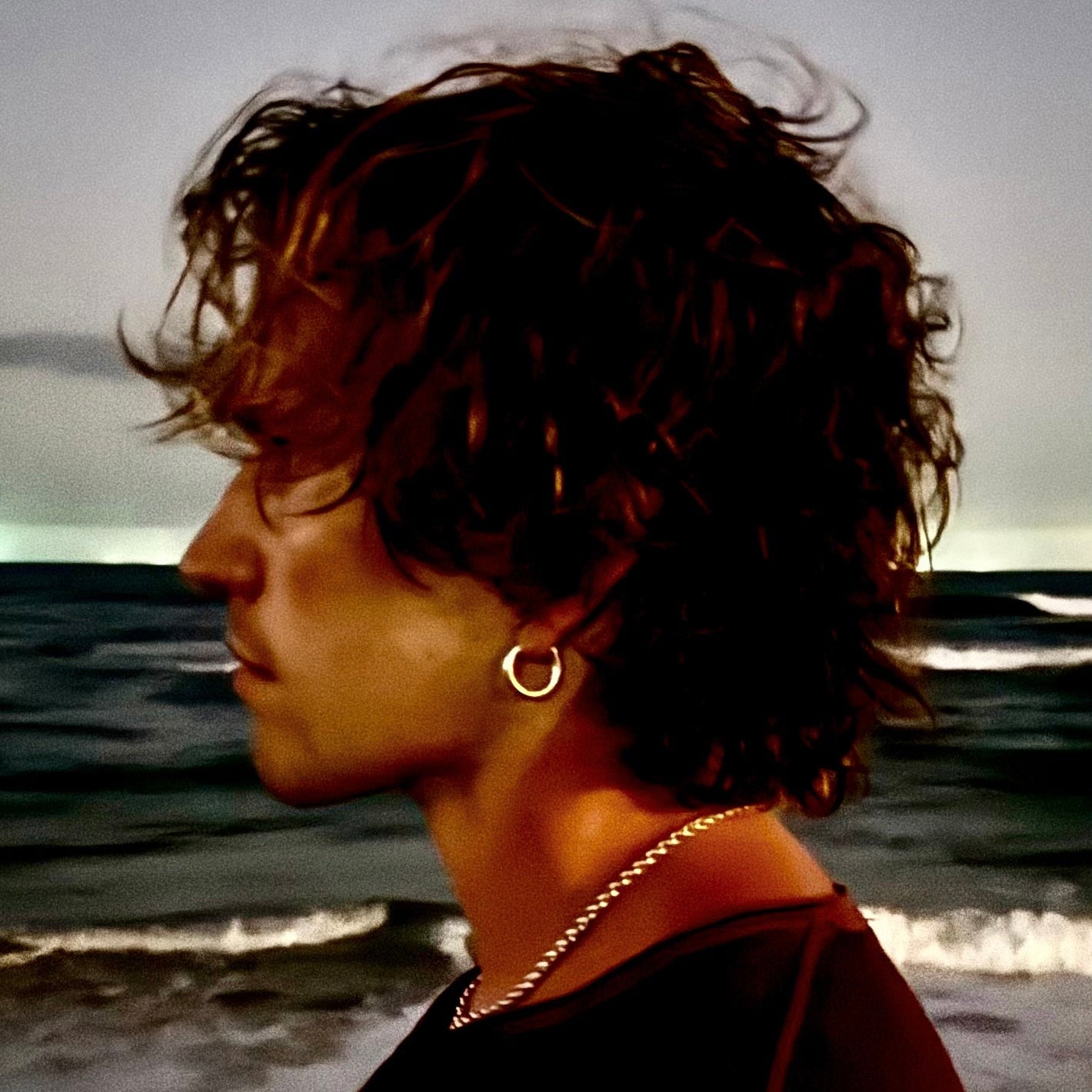 NC LARGE HOOP - North Cross - Earring